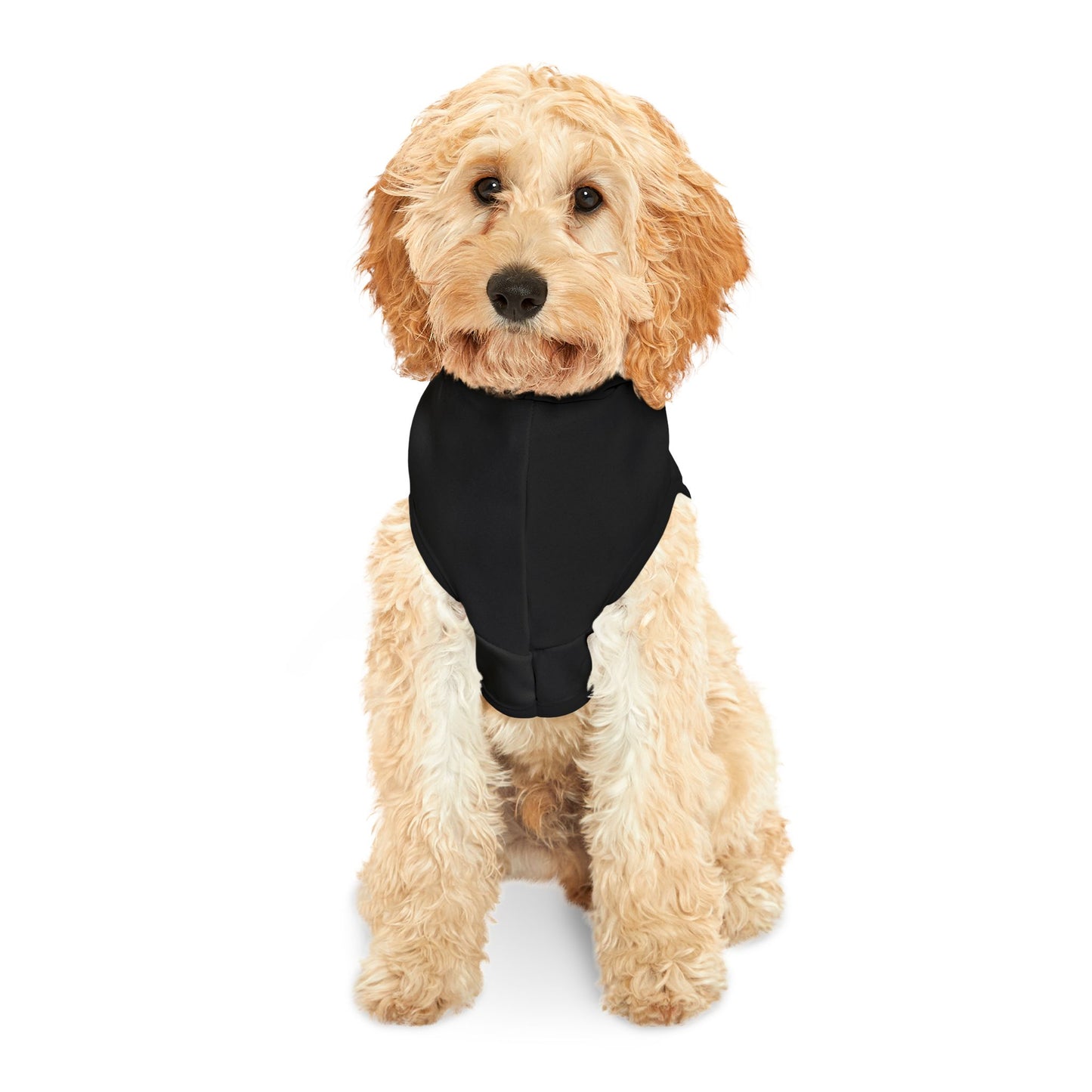MYB Pet Hoodie
